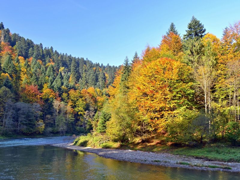 rzeka Dunajec Spływ Kajakowy Jesień